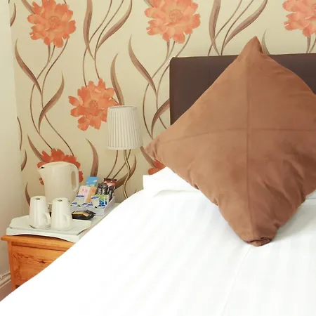 The Dolgoch Bed & Breakfast Bryn-crug Room photo