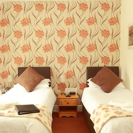 The Dolgoch Bed & Breakfast Bryn-crug Room photo