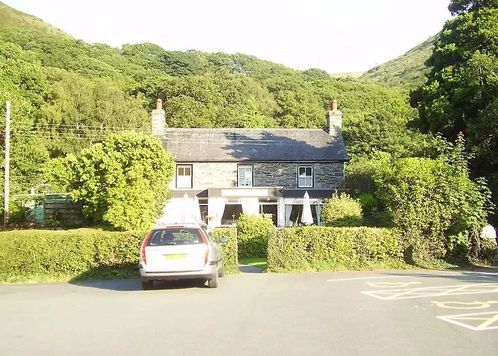 The Dolgoch