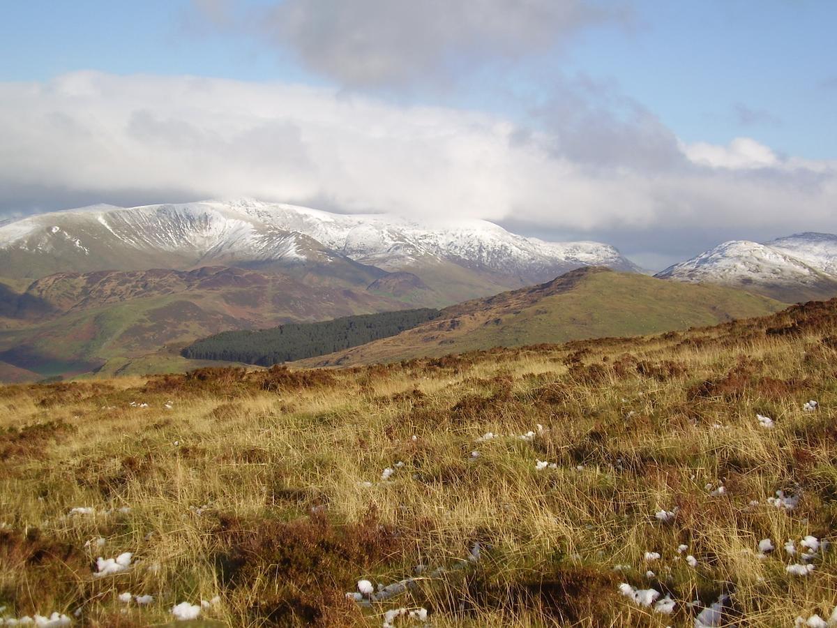 Bed & Breakfast The Dolgoch Bryn-crug