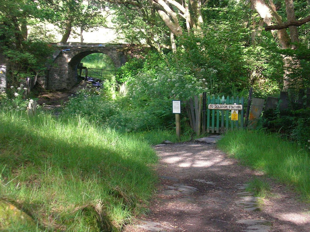 The Dolgoch *